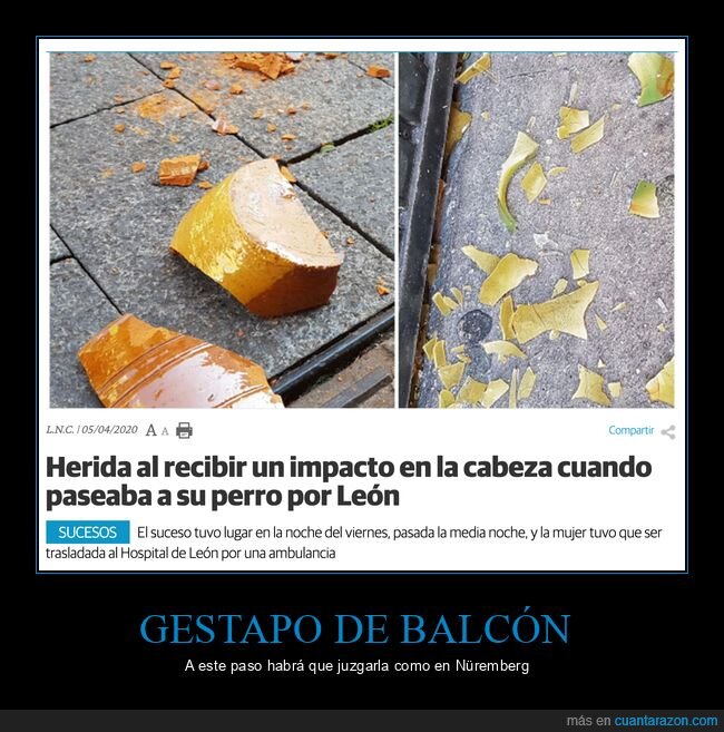 balcón,maceta,wtf,cuarentena,coronavirus