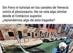 Enlace a La naturaleza recupera lo que es suyo