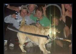 Enlace a El perro de la katana