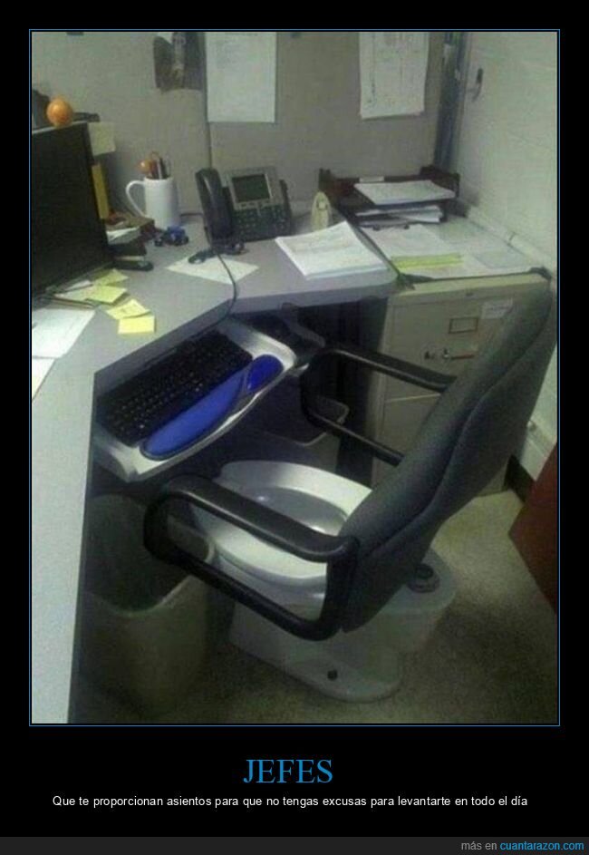 asiento,oficina,váter