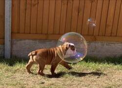 Enlace a En el momento exacto
