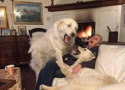 Enlace a Una foto para enmarcar