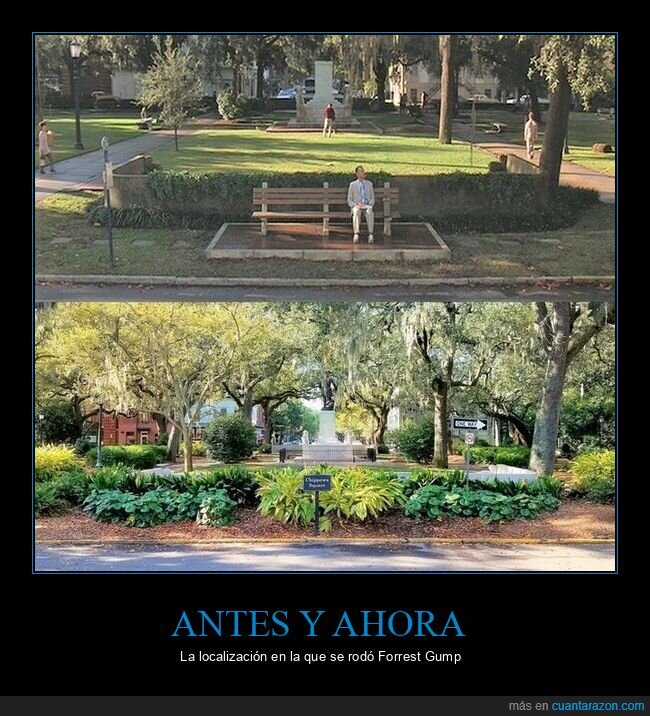 antes,ahora,forrest gump,cine