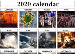 Enlace a Un año completo