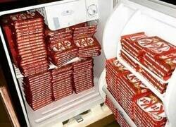 Enlace a No necesita ningún otro tipo de alimento