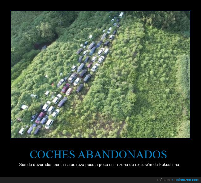 coches,abandonados,fukushima