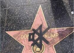 Enlace a Pintada en la estrella de la fama de Donald Trump