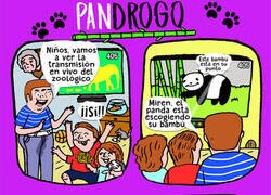Enlace a Ese panda se ha echado a perder...