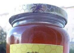 Enlace a Masters of naming