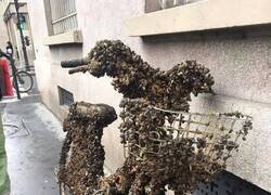 Enlace a Ya formaba parte del ecosistema