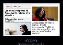 Enlace a Lágrimas de cocodrilo