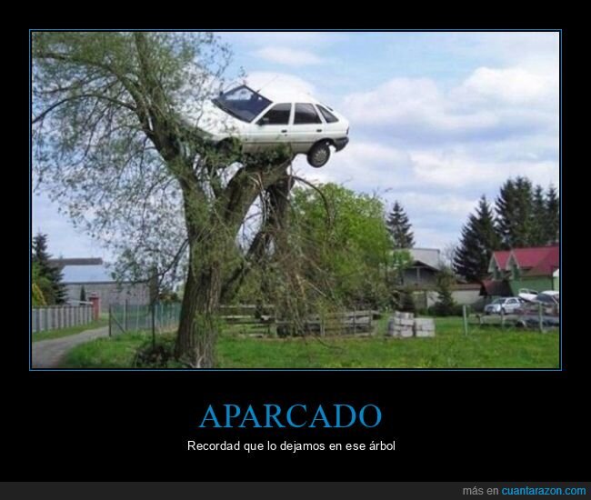 coche,árbol,fails,wtf