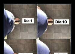 Enlace a Consecuencias de la cuarentena