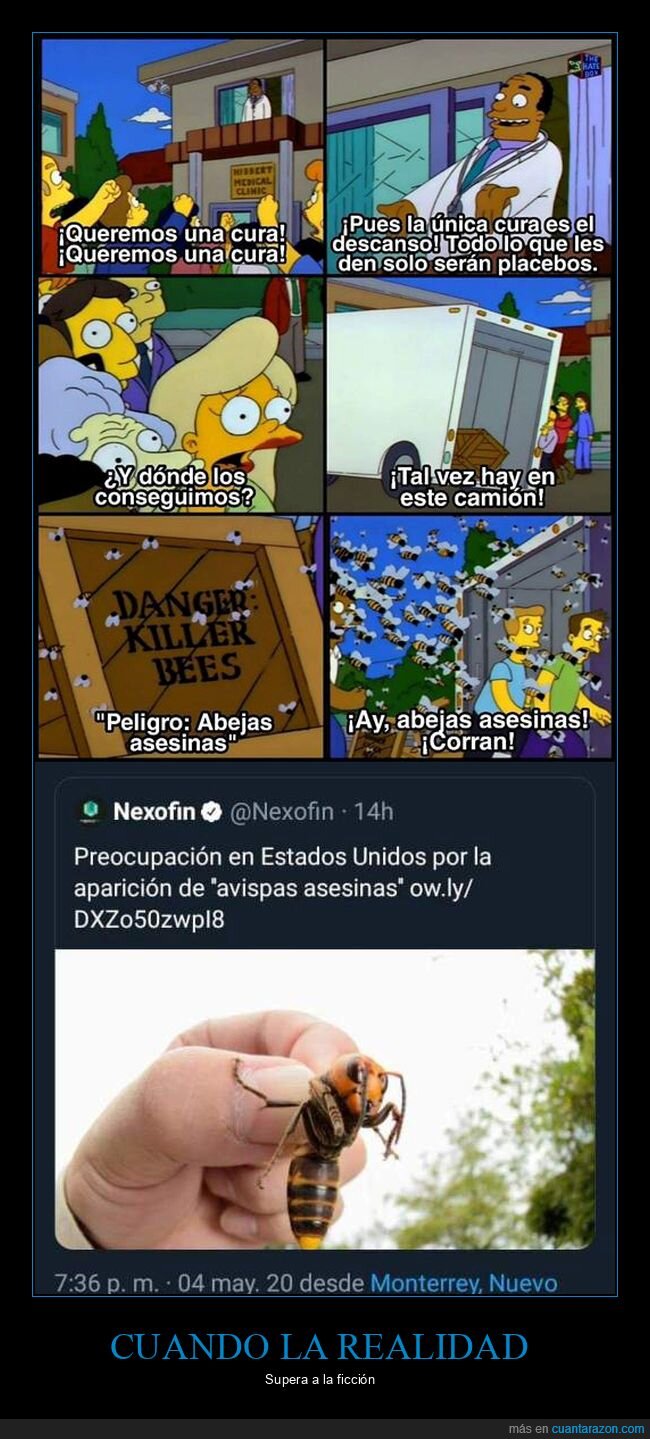 Abejas,Avispas,Simpsons