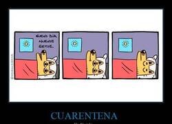 Enlace a Un nuevo día