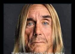 Enlace a Llevando bien la cuarentena