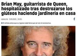 Enlace a Jardinería extrema