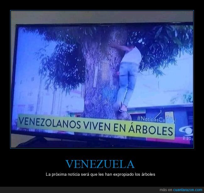 venezolanos,vivir,árboles,wtf,venezuela,noticias