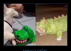 Enlace a Se convirtió en aquello que juró destruir