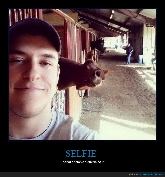 selfie,photobomb,caballo