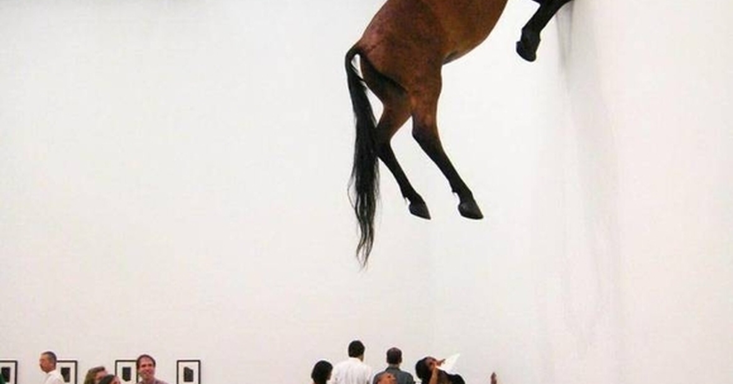 ¡Cuánta razón! / Mientras tanto, en una galería de arte random...