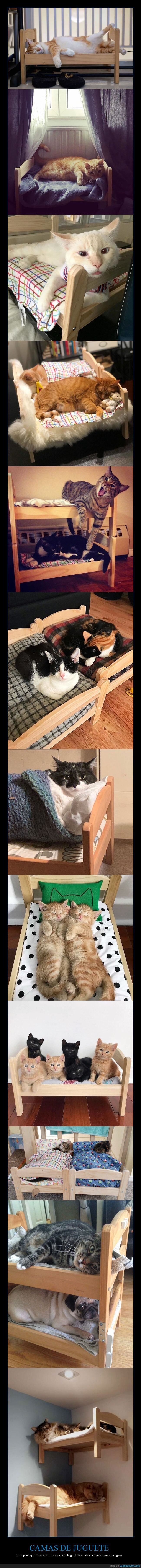 Cama muñecas ikea gatos sales