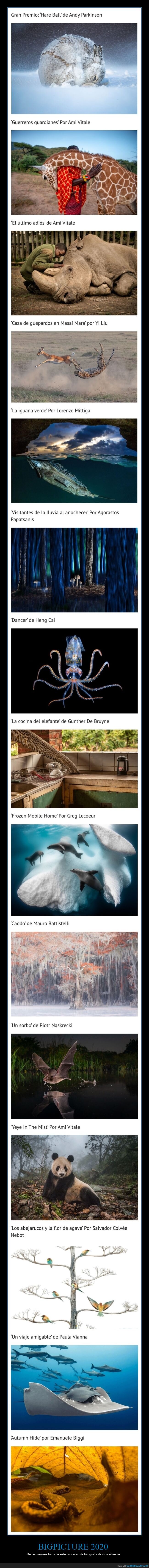 modalitate rapidă de a câștiga bani pe soldul de bani 70 privind opțiunile binare