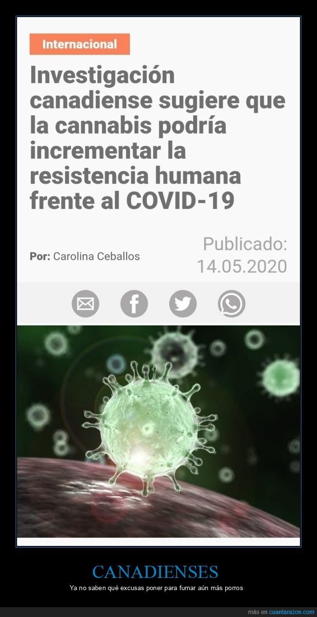 resistencia,coronavirus