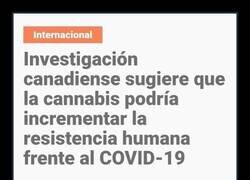 Enlace a Una nueva vía de investigación