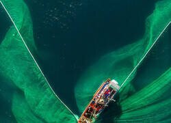 Enlace a Pescador con sus redes