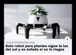 Enlace a El robot que insiste en el cuidado de tus plantas