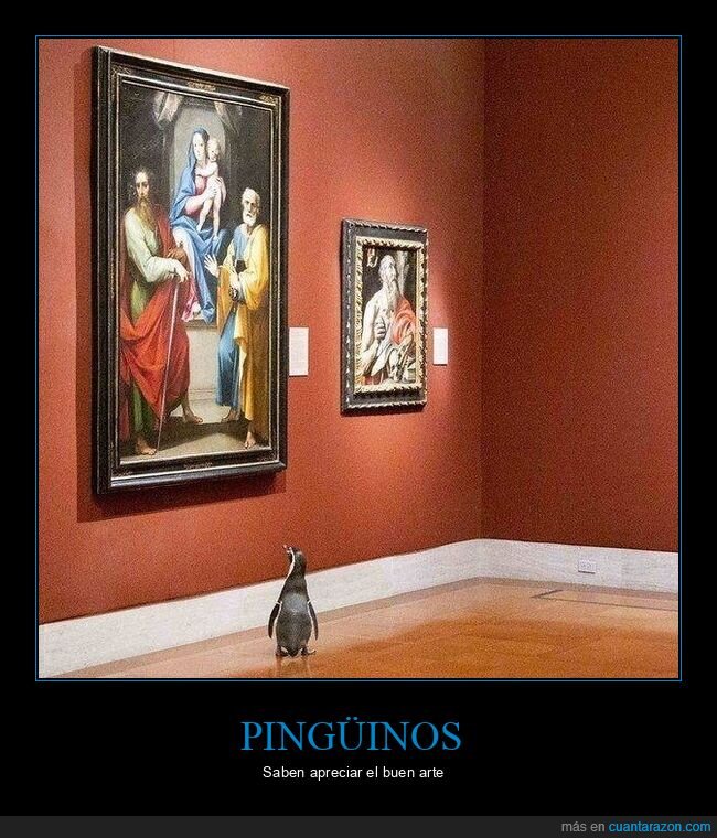 pingüino,museo,cuadro,wtf