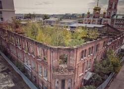 Enlace a Bosque amurallado