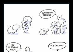 Enlace a Cuidado con el perro