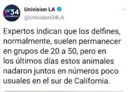 Enlace a Una noticia inquietante