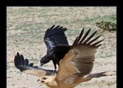 Enlace a Tomando un taxi aéreo