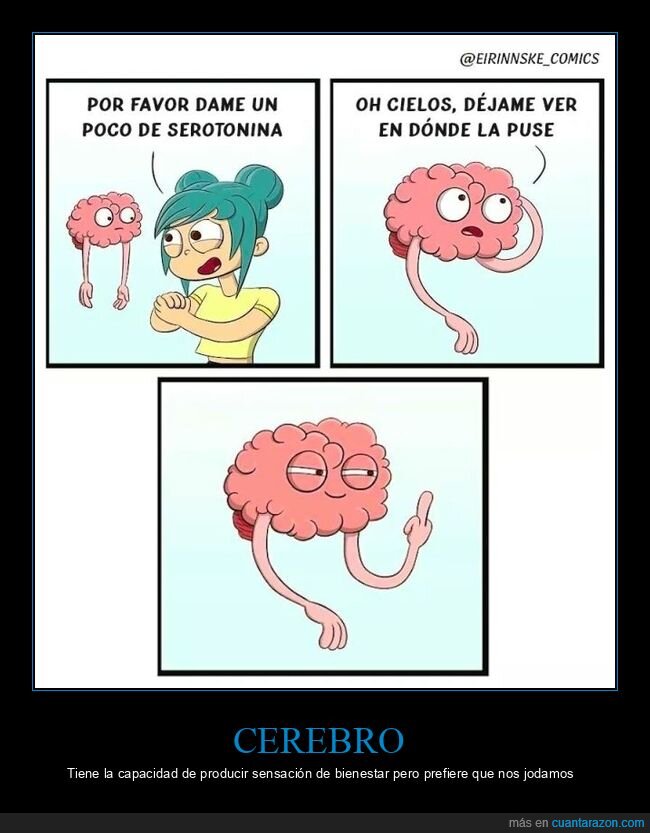 cerebro,serotonina