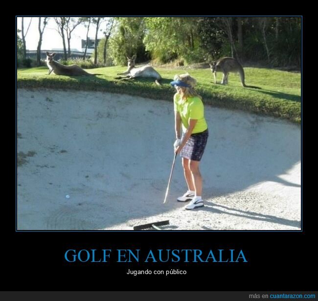 golf,australia,canguros