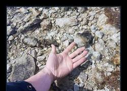 Enlace a Agua invisible