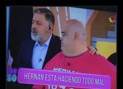Enlace a Todos somos Hernán