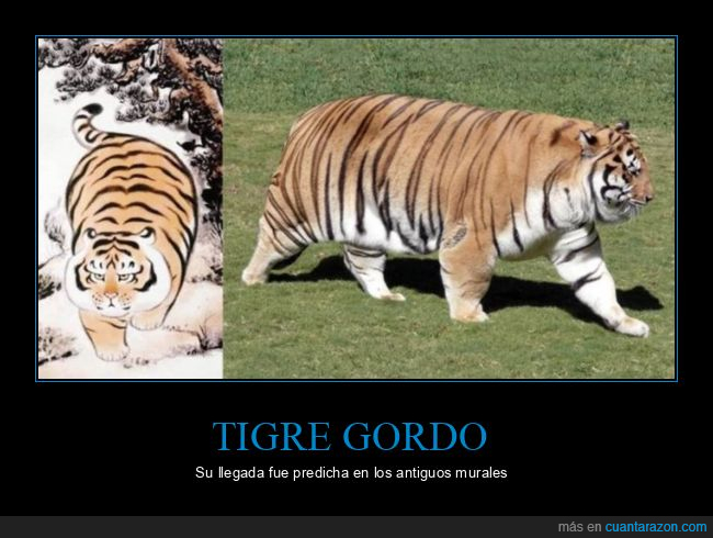 tigre,gordo,mural,parecidos
