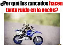 Enlace a Mosquitos ruidosos