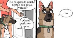 Enlace a Pixie y Brutus: Las aventuras de un adorable gatito y un perro militar retirado