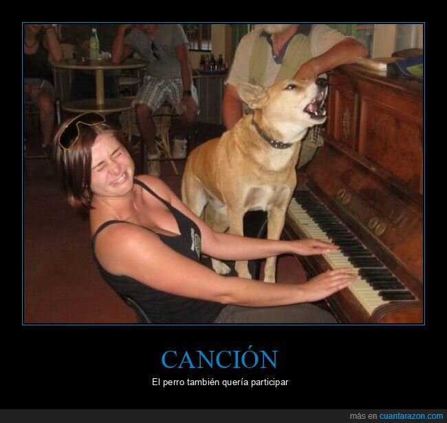 piano,perro,canción