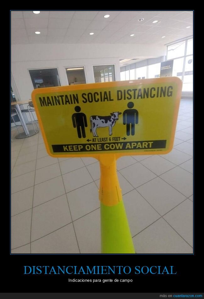 distanciamiento social,coronavirus,vaca,cartel