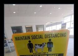 Enlace a Vaca como unidad de medida