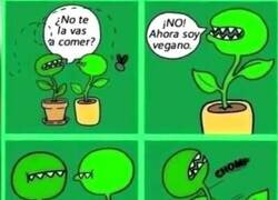 Enlace a El veganismo cada vez gana más adeptos