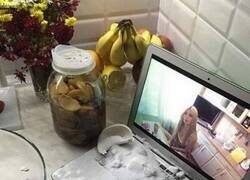 Enlace a Ordenador y cocina son una mala combinación