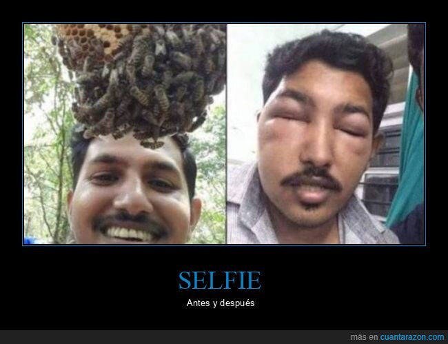 selfie,antes,después,abejas,panal,fails