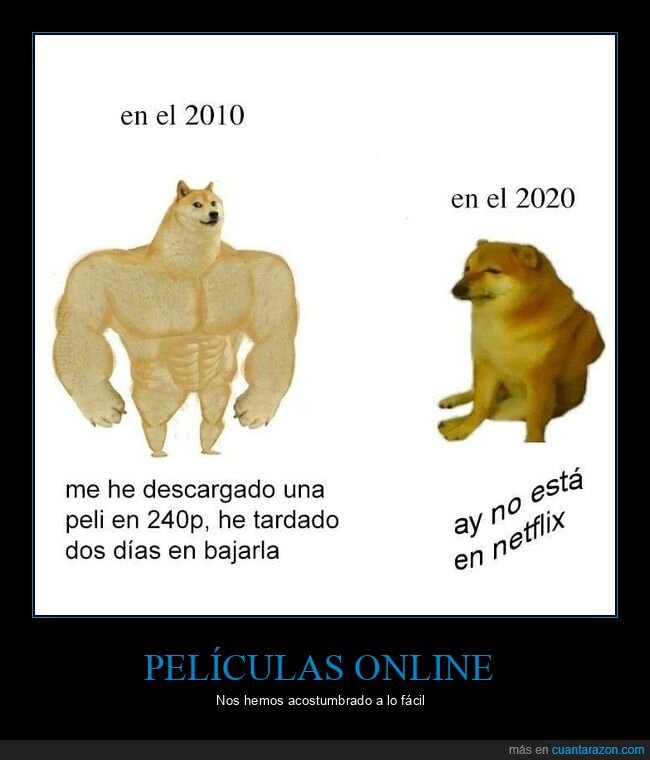 antes,ahora,descargar,películas,netflix,doge y cheems
